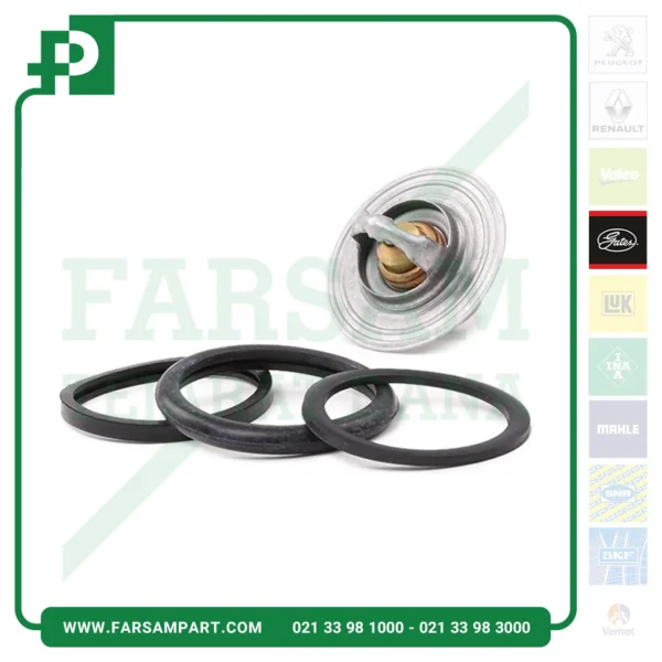 ترموستات 405 گتس پاور