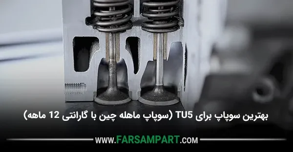 بهترین سوپاپ برای TU5 (سوپاپ ماهله چین با گارانتی 12 ماهه)