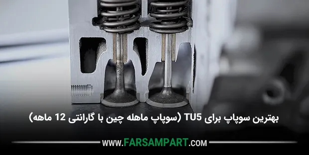 بهترین سوپاپ برای TU5 (سوپاپ ماهله چین با گارانتی 12 ماهه)